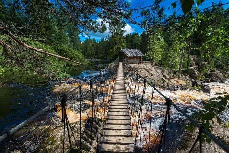 Wooden walkway and bridge beside forest waterfalls