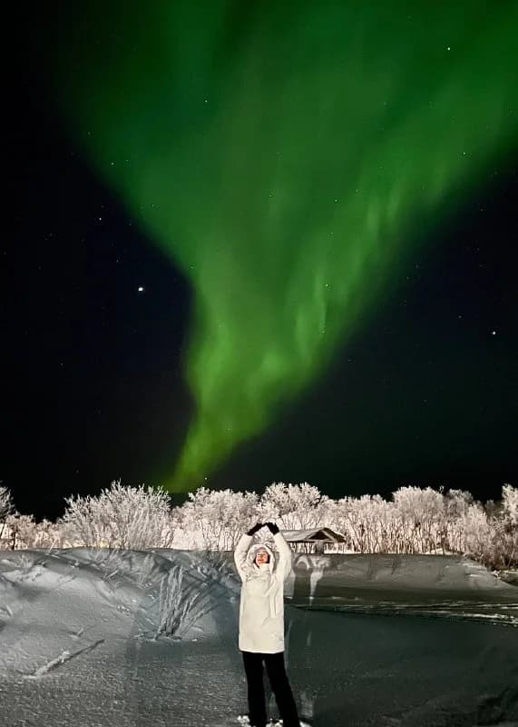 Person standing under green northern lights