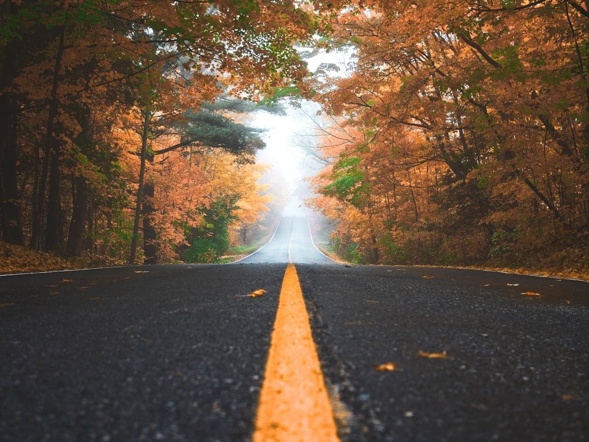 ممرات لادوغا: إعادة ضبط